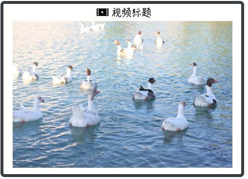 北大“码农	”如何变身全球顶级交易员？｜对话袁骏第一集 - 图片1